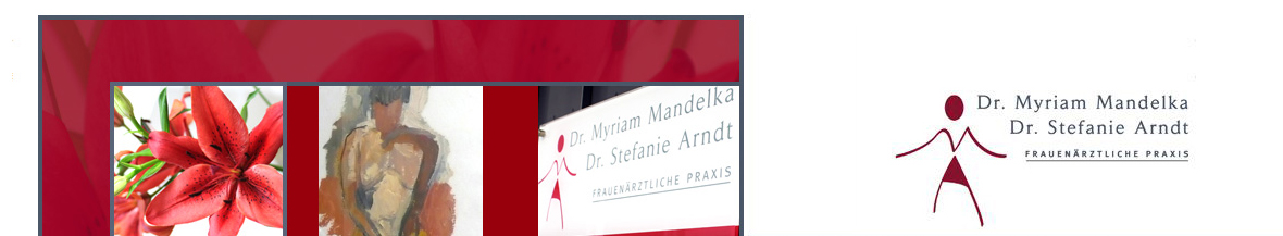 Anfahrt - Mandelka & Arndt